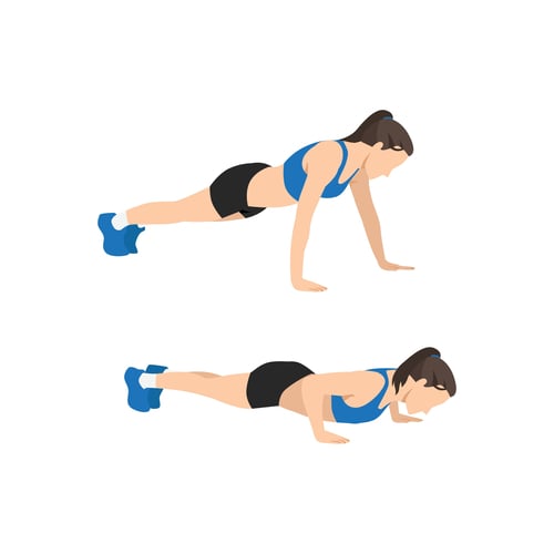  ท่าออกกำลังกายเวทเทรนนิ่ง Push-Up ภาพวิดพื้นจังหวะลงและดันขึ้น 
